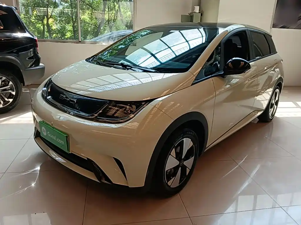 BYD Dolphin 2023 420km Freedom Edition