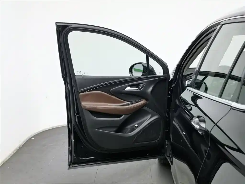 Buick Envision Plus 2017 20T 2WD Luxury фото 8
