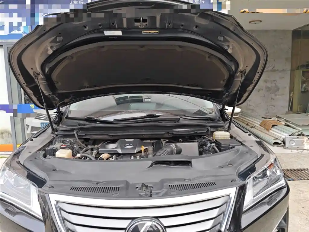 Lexus RX 2016 300 2WD Elite Edition (China V) фото 20