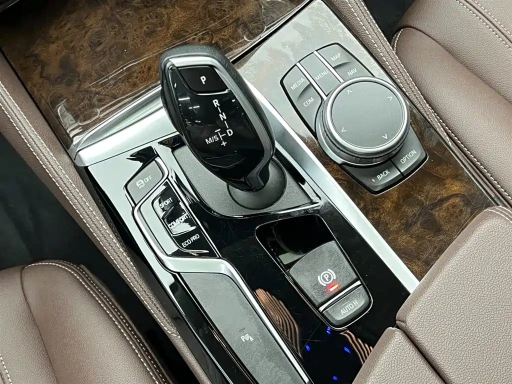 BMW 5 Series 2020 525Li Luxury Package фото 22