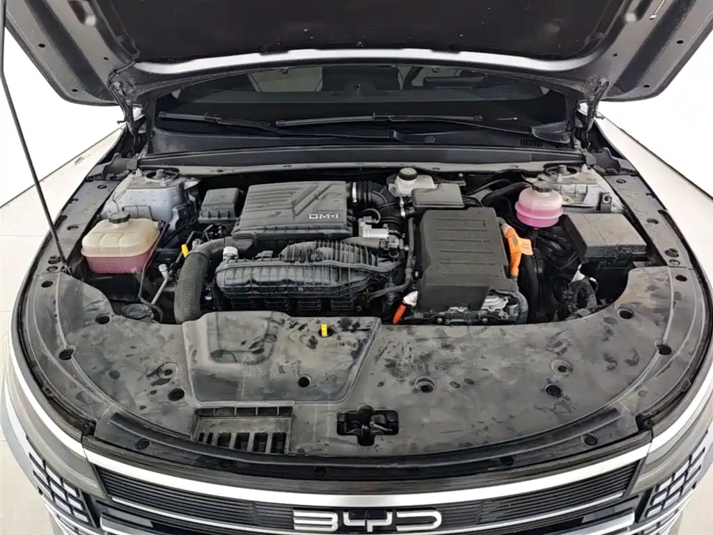 BYD Destroyer 05 2023 Champion Edition DM-i 55KM Luxury фото 20