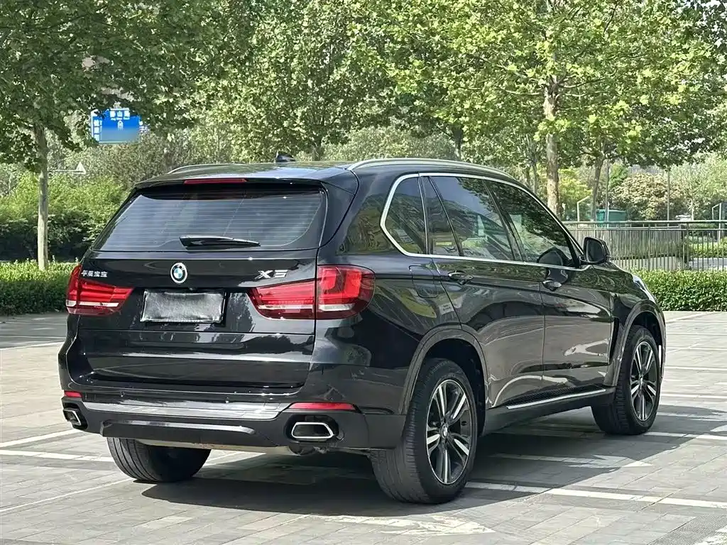 BMW X5 (Import) 2017 xDrive35i Elegance фото 6