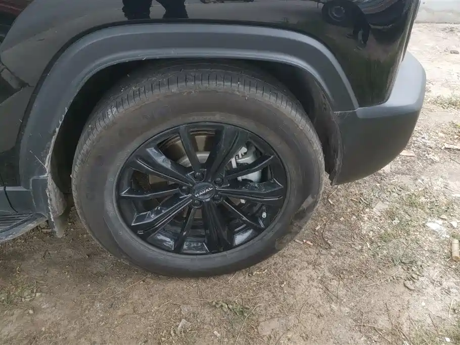 Haval Meng Long NEV 2024 Hi4 145 Cross-country Edition фото 6