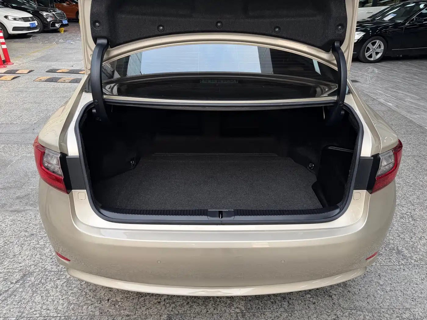 Lexus ES 2015 300h Comfort Edition фото 12