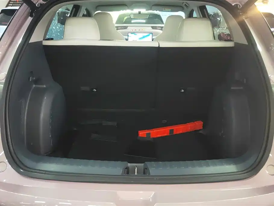 Geely Galaxy Starry Wish 2025 310km Dream Edition фото 4