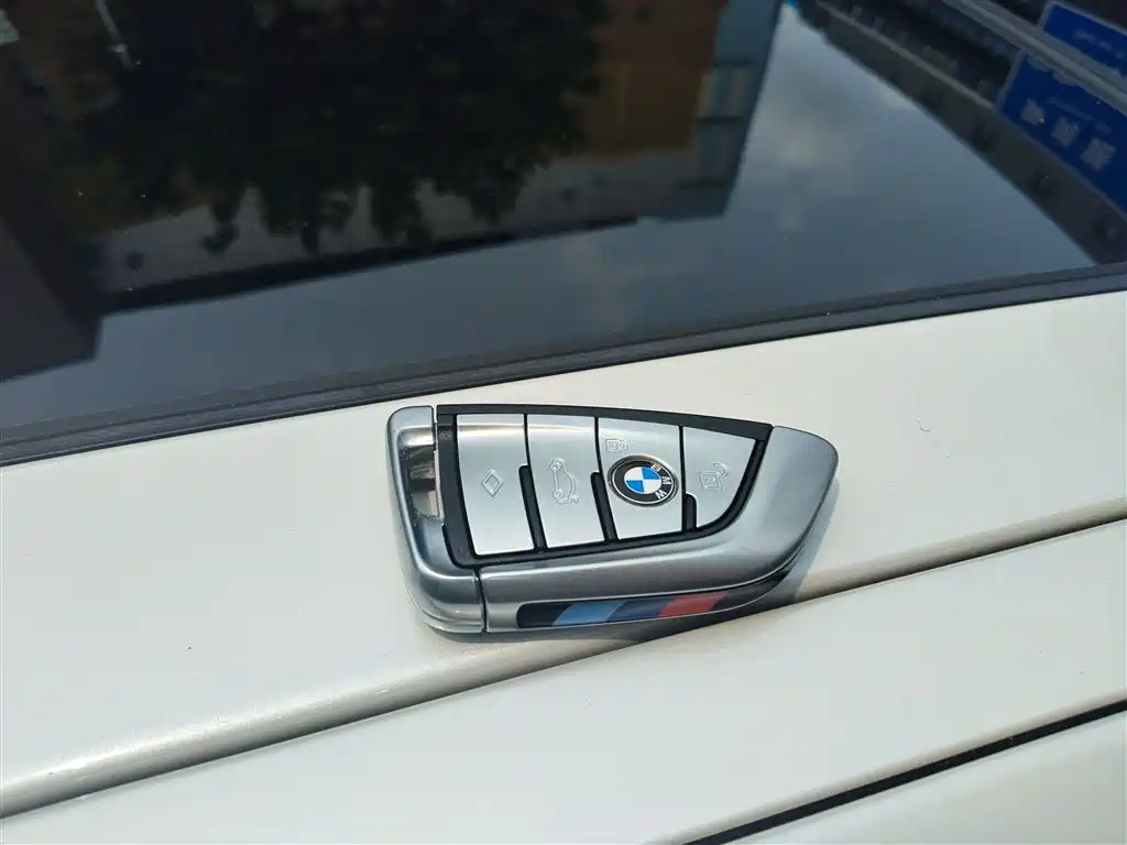 BMW 5 Series 2020 530Li Leading M Sport Package фото 9