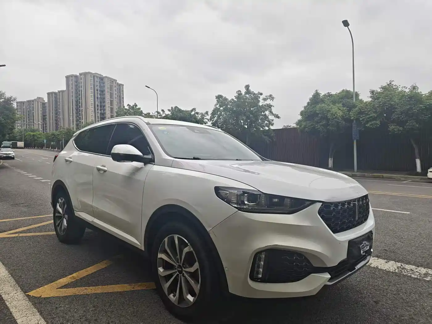 WEY VV6 2018 2018 2.0T 2WD Flagship China V