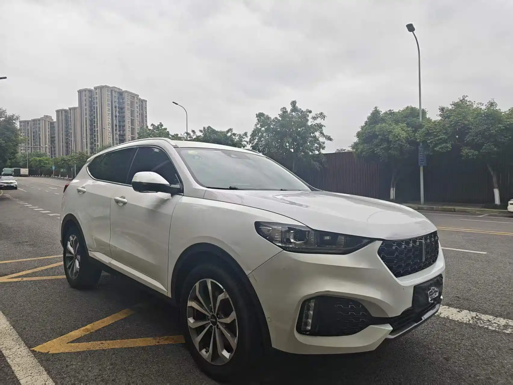 Фото 3 - WEY VV6