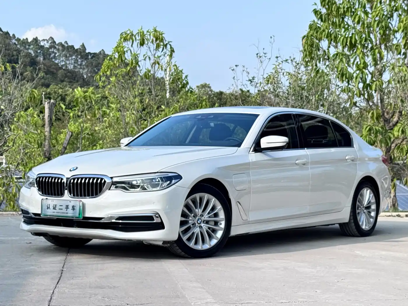 BMW 5 SERIES NEW ENERGY