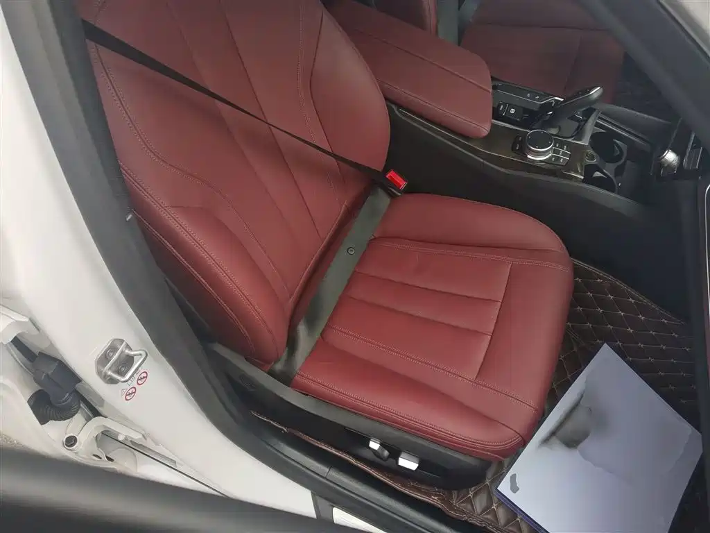 BMW 5 Series 2020 530Li Leading M Sport Package фото 25