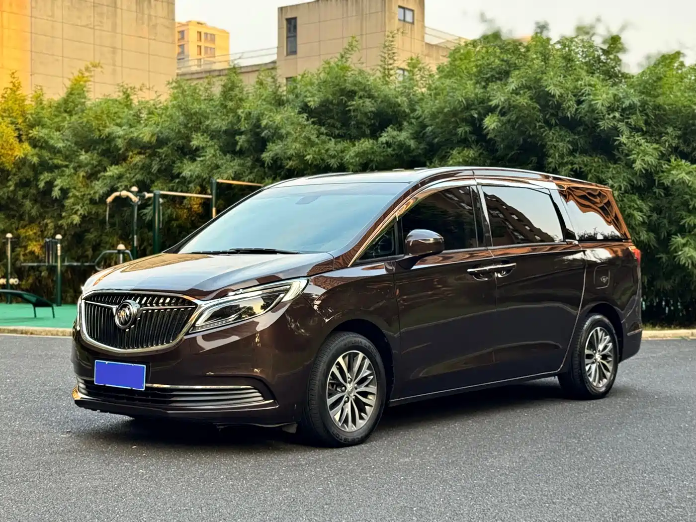 Фото 1 - Buick GL8