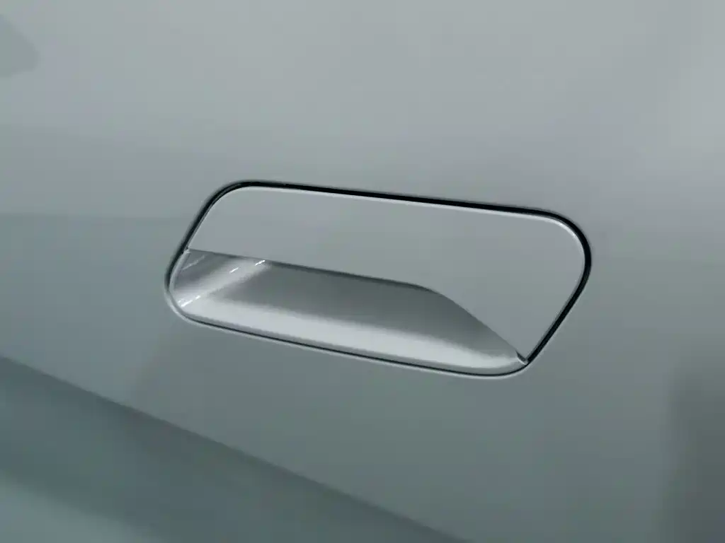 Geely Geometry E Firefly 2023 2022 401KM Delicate Tiger 4-seater