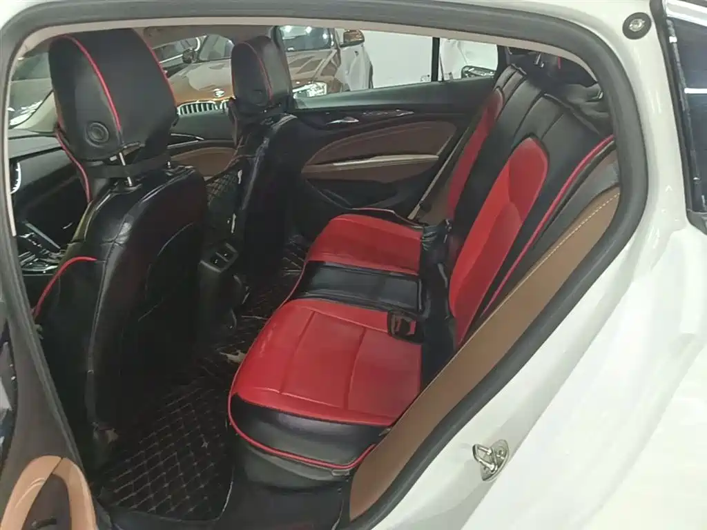 Buick Regal 2017 20T Elite Type фото 17