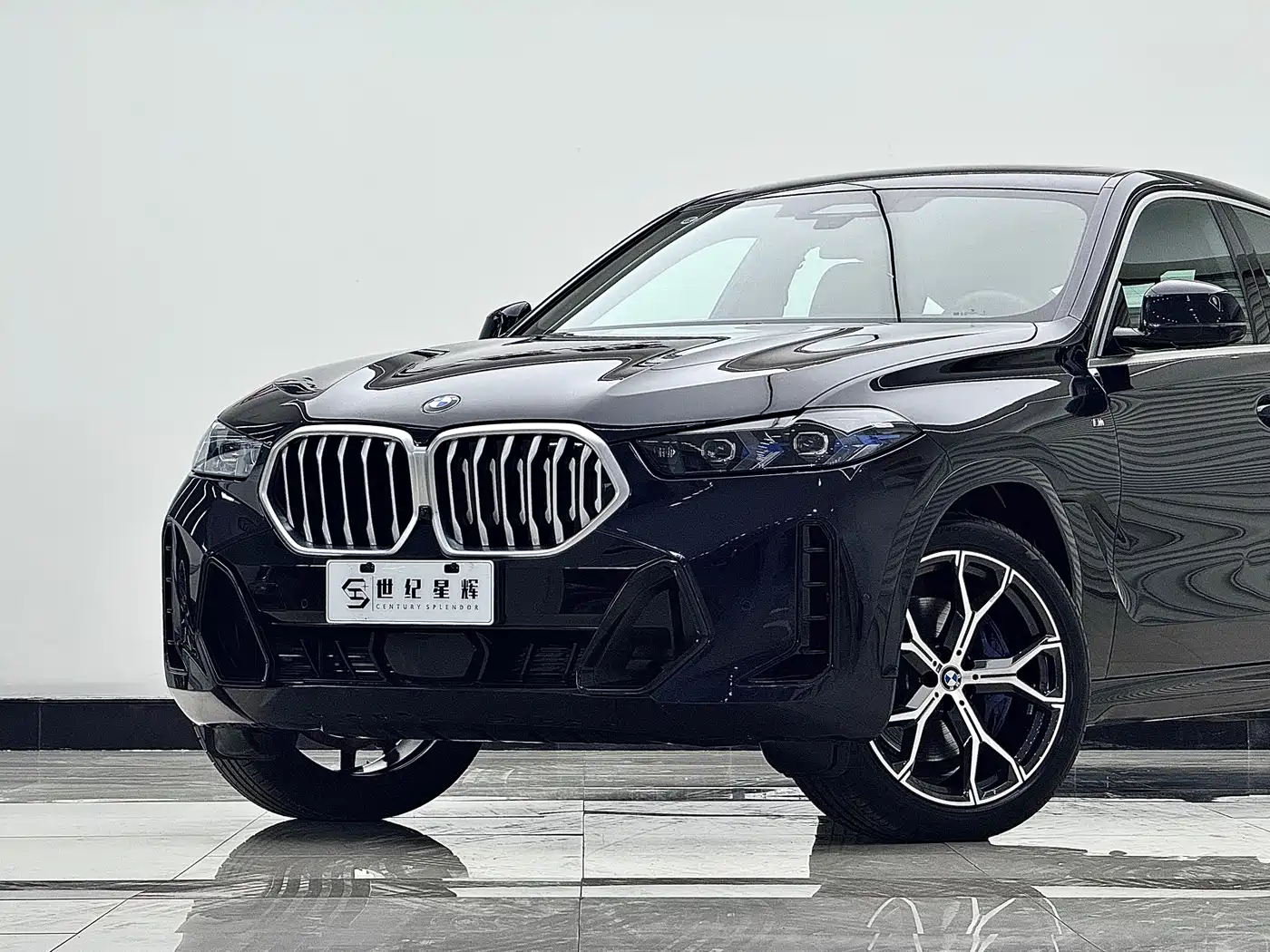 BMW X6 2023 xDrive40i Premium M Sport Package фото 9