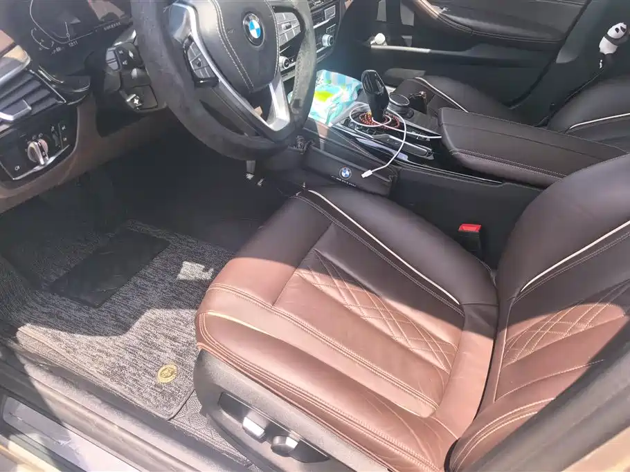 BMW 5 Series New Energy 2020 530Le Luxury Package фото 9