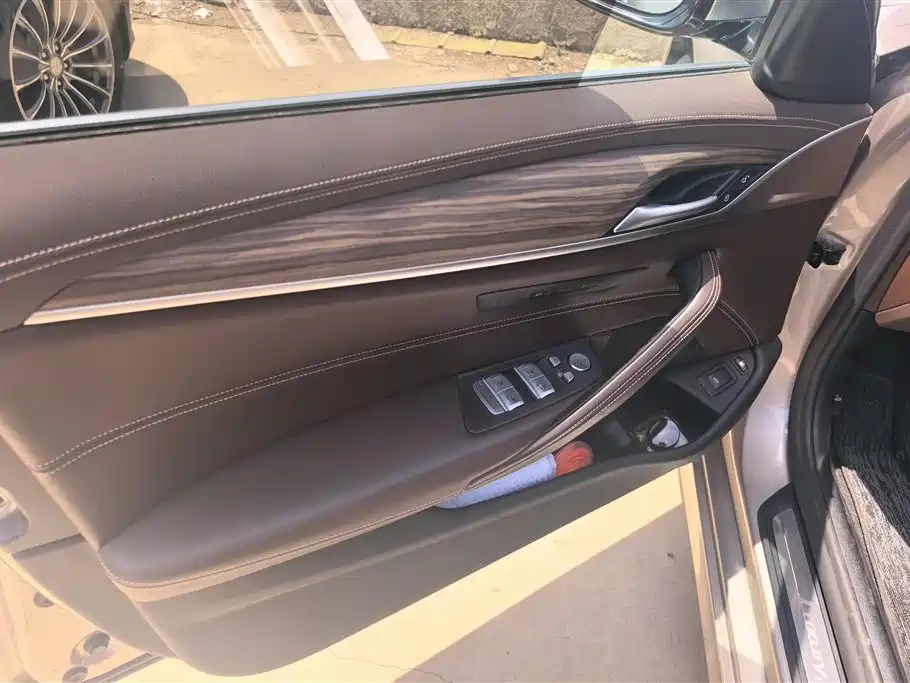 BMW 5 Series New Energy 2020 530Le Luxury Package фото 7