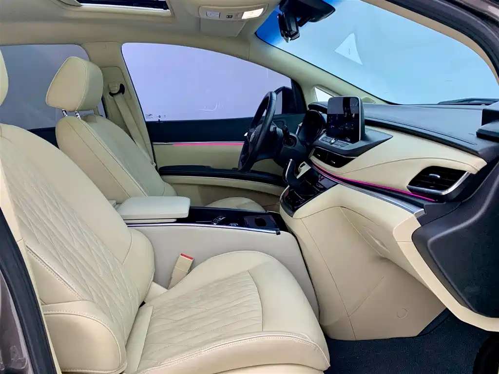 Buick GL8 2023 Facelift Land Business Class Luxury фото 14