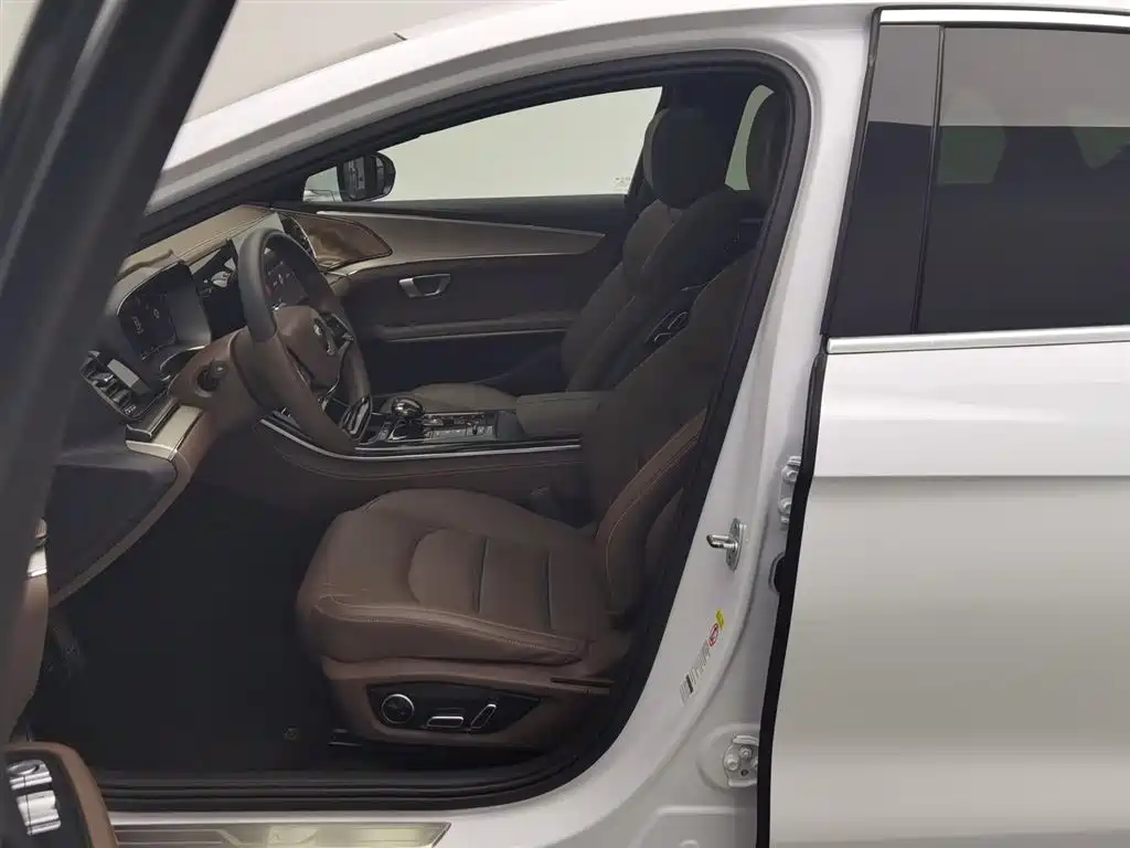 BYD Han 2020 DM AWD Performance Luxury Edition фото 10