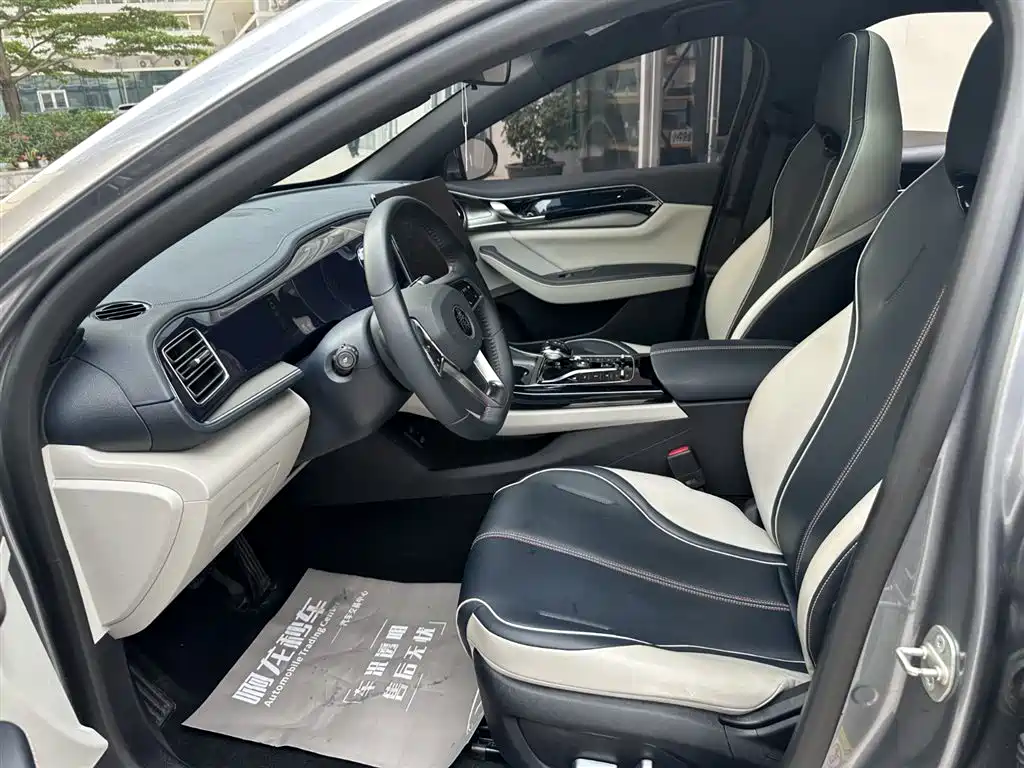 BYD Qin PLUS 2021 DM-i 55KM Flagship фото 15