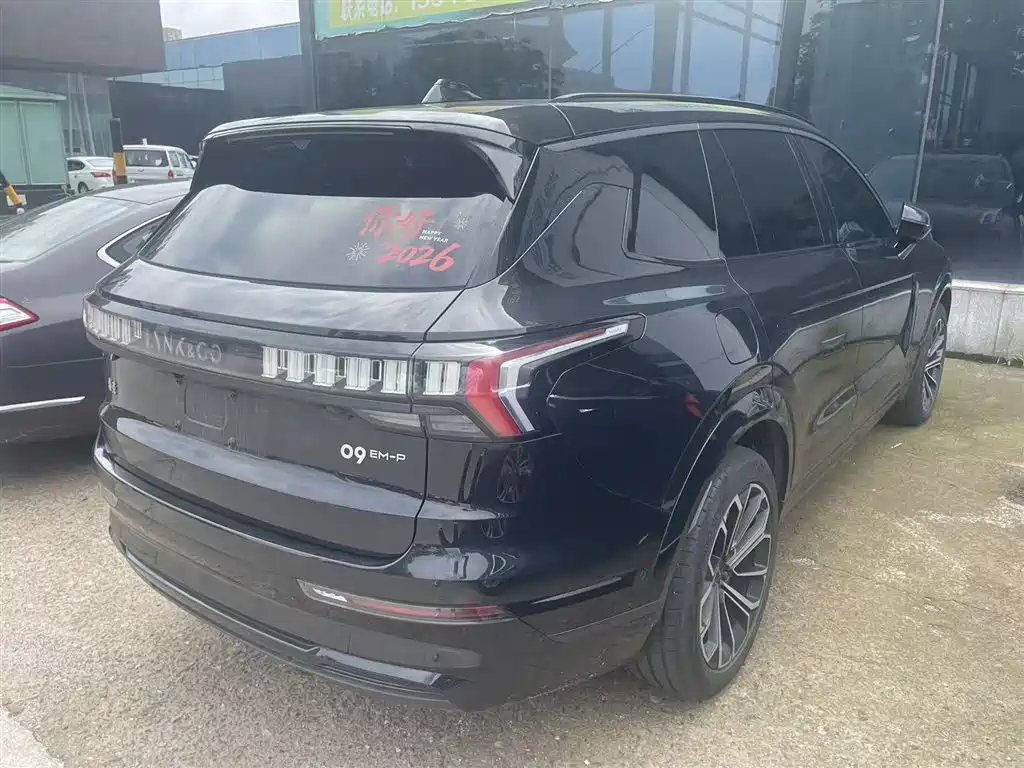 Lynk & Co 09 EM-P 2024 2.0TD EM-P AWD HALO 6-Seater фото 3