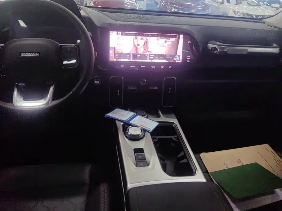 Haval Big Dog 2024 1.5T DCT Border Collie Edition фото 16