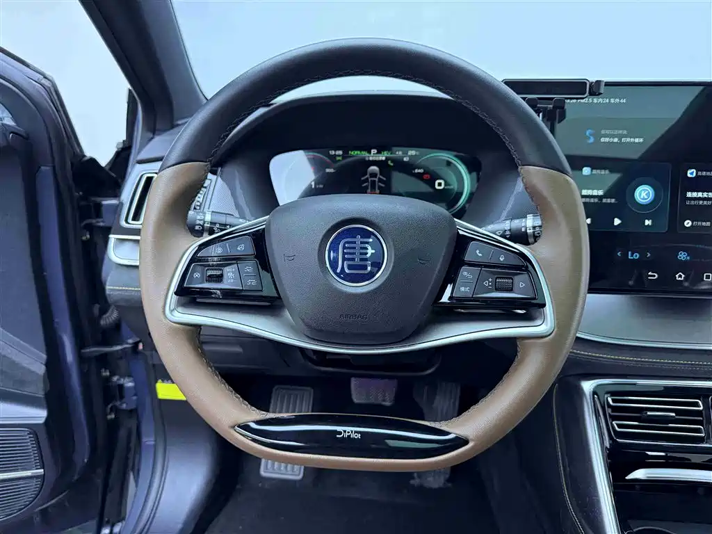 BYD Tang New Energy 2021 DM-i 112KM Honor фото 15