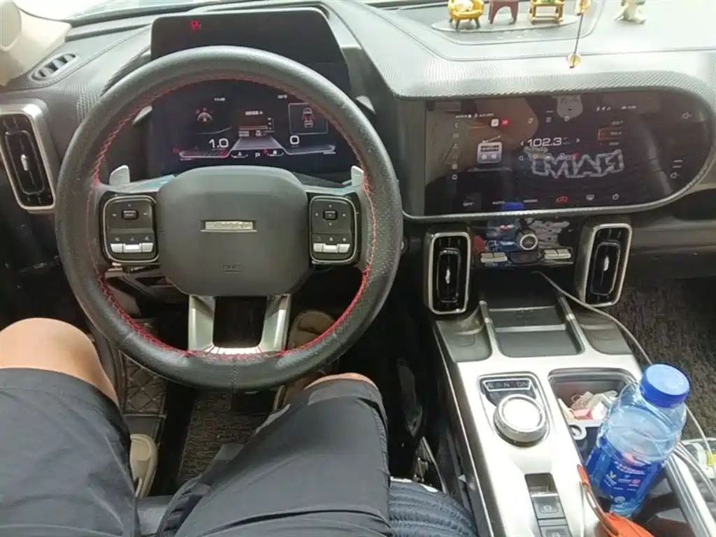 Haval Big Dog 2021 1.5T DCT 2WD Husky Edition фото 13