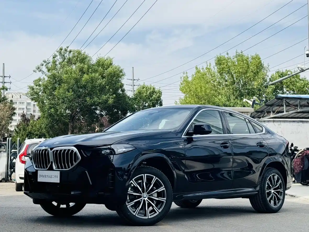 BMW X6 2023 xDrive30i M Sport Package