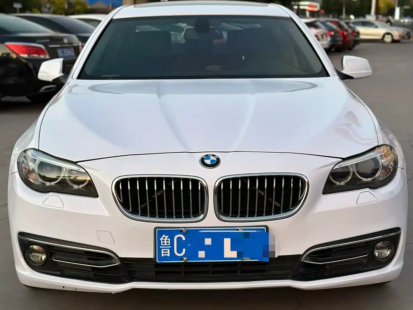 BMW 5 Series 2011 523Li Luxury фото 2