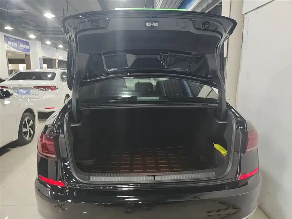 Volkswagen Passat 2024 330TSI Starlight Elite Edition фото 19