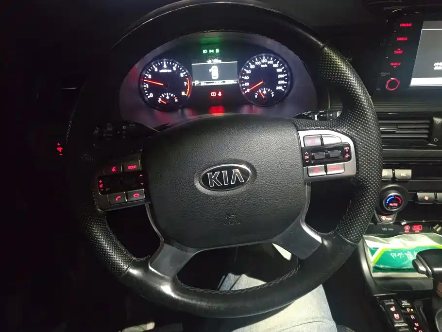 Kia KX7 2017 2017 2.0T Automatic 4WD DLX 7-Seater