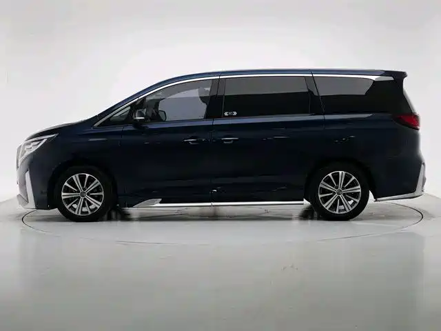 GAC Trumpchi Trumpchi M8 2020 Master Edition 390T Ultimate фото 2