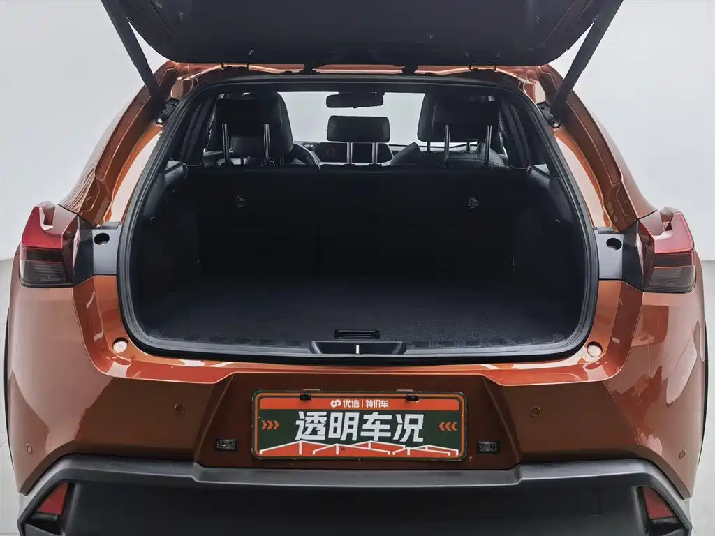 Lexus UX 2020 260h Explore Fun Edition China V фото 16