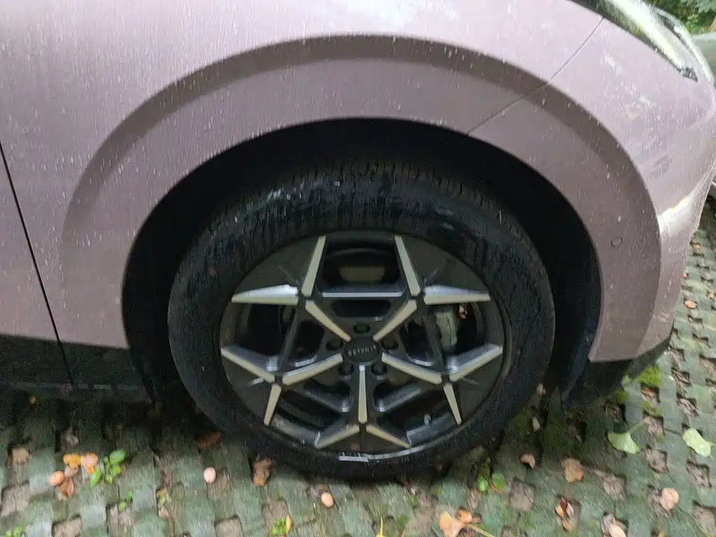 Lynk & Co Z20 2025 2025 530km RWD Max