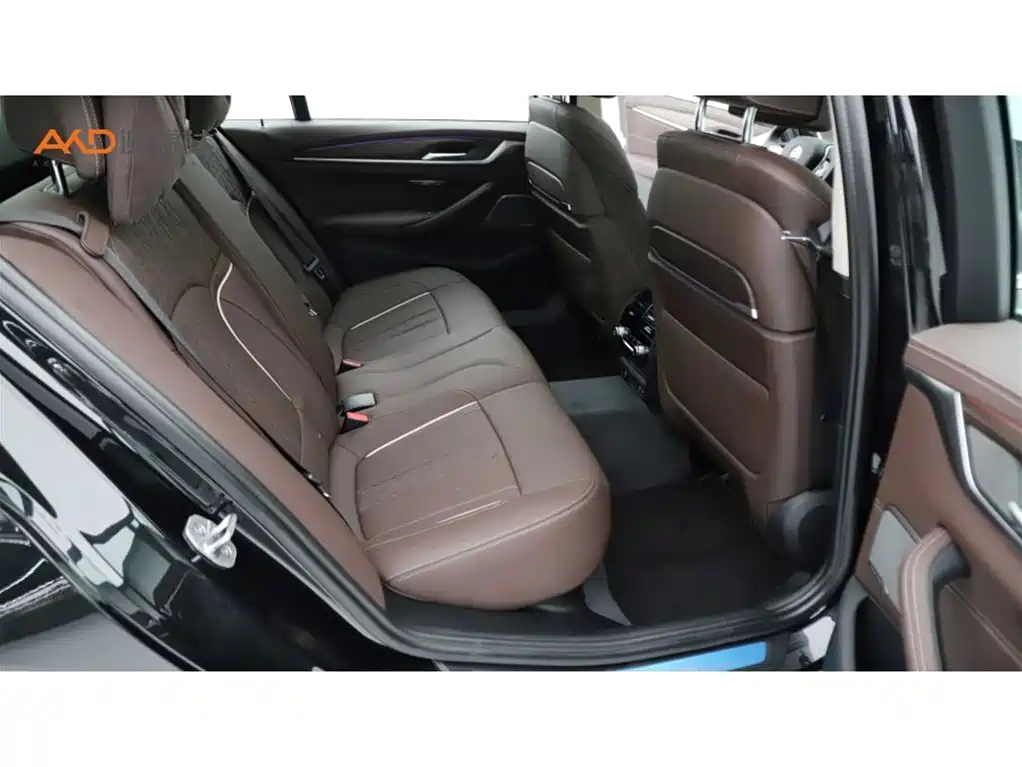 BMW 5 Series 2022 530Li Exclusive Luxury Package фото 8