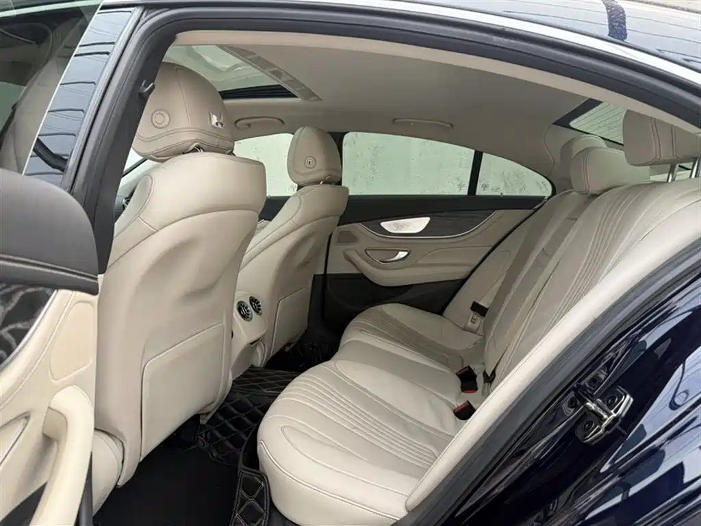 Mercedes-Benz CLS 2020 CLS 300 Luxury фото 16