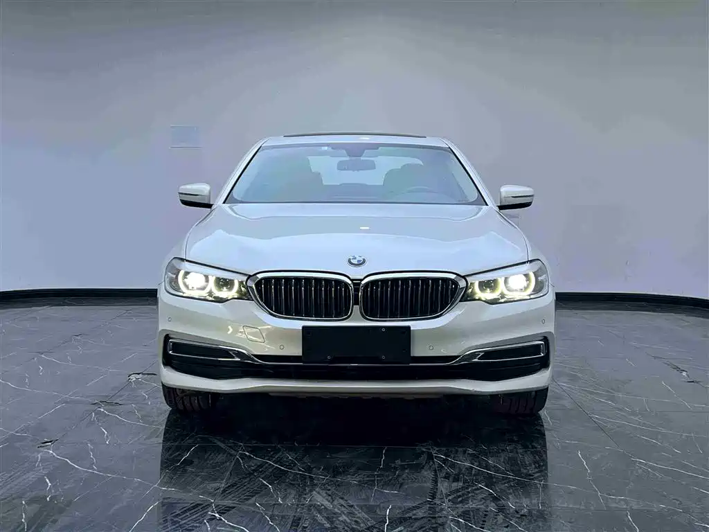 BMW 5 Series 2019 525Li Luxury Package фото 2