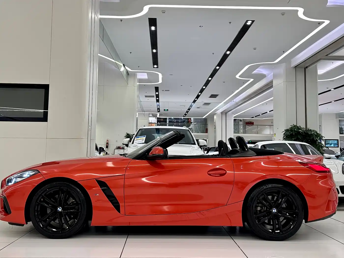 BMW Z4