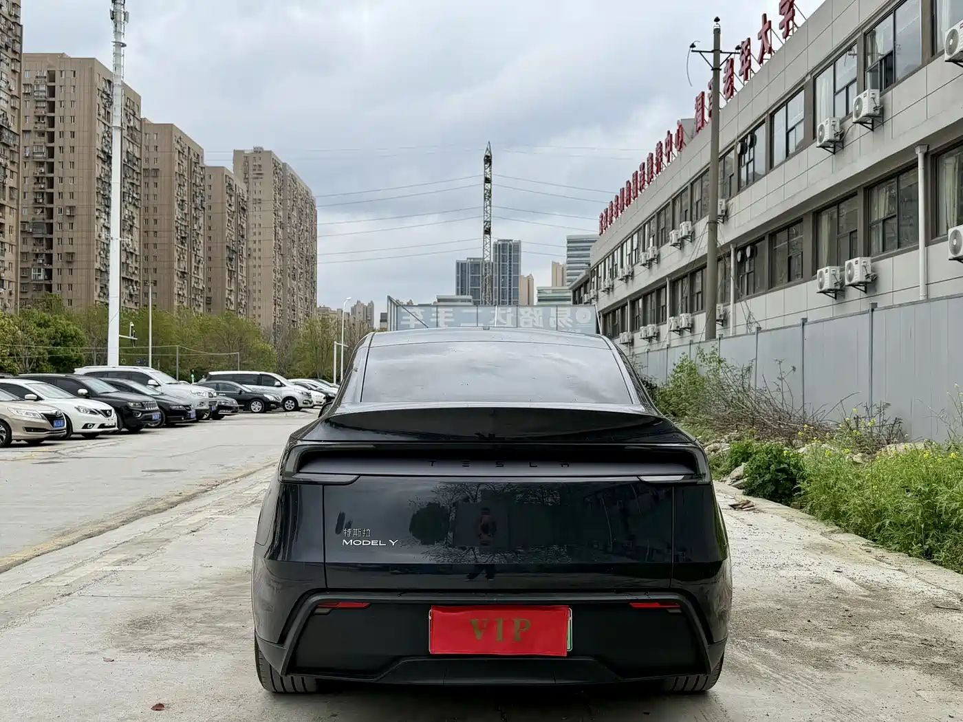 TESLA MODEL Y