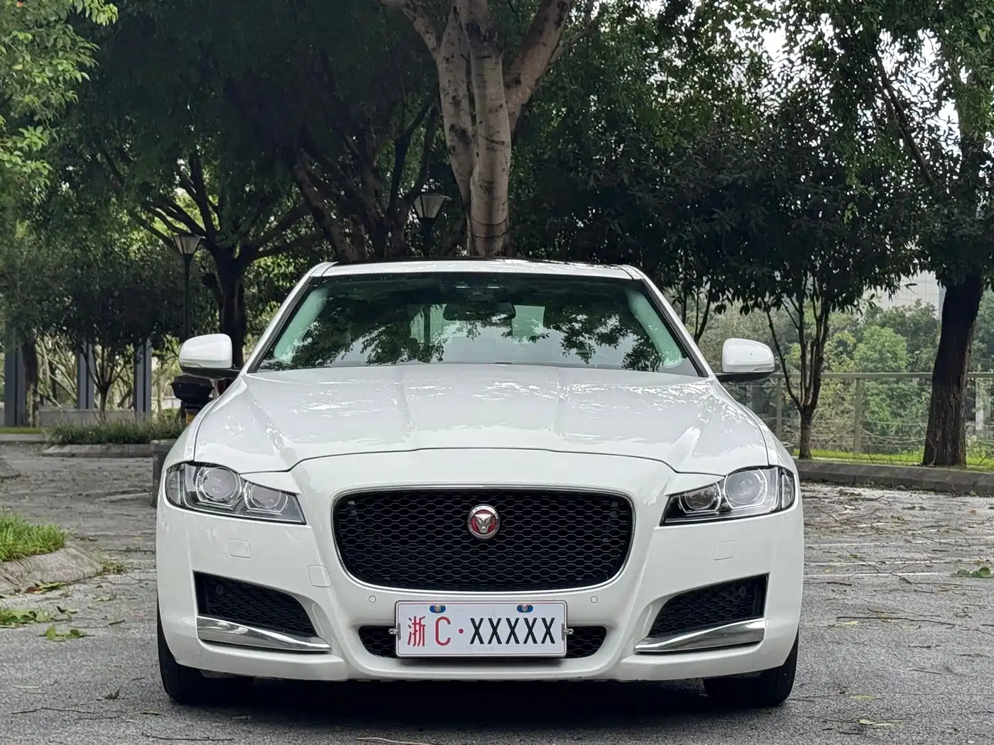 Фото 2 - Jaguar XFL