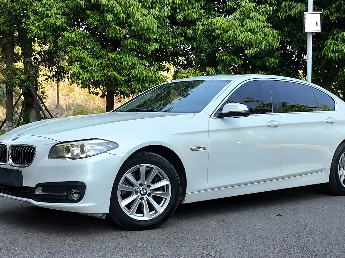 BMW 5 Series 2014 520Li Elegance фото 2