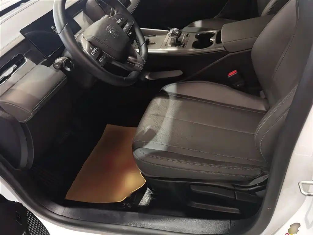 BYD Qin PLUS 2025 DM-i Smart Drive 55KM Leader фото 11