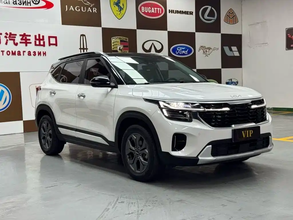 Kia Seltos 2024 2023 1.5L CVT Luxury Edition