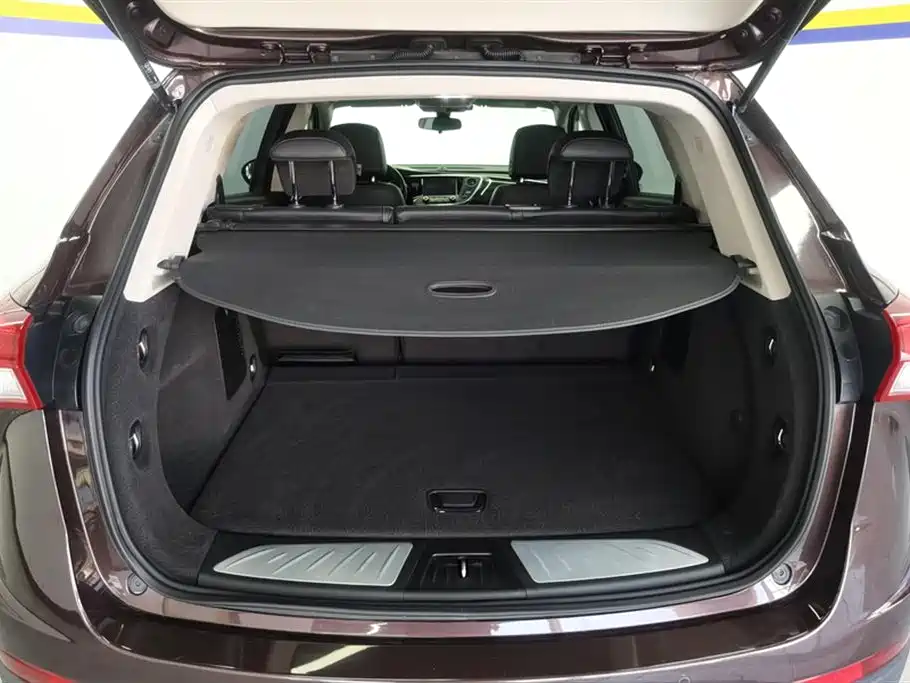 Buick Envision Plus 2019 20T 2WD Elite Type China V фото 4