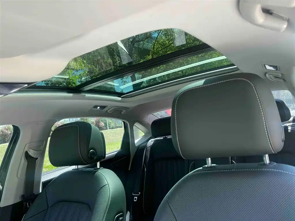 Volkswagen Passat 2022 330TSI Starlight Luxury Edition фото 14