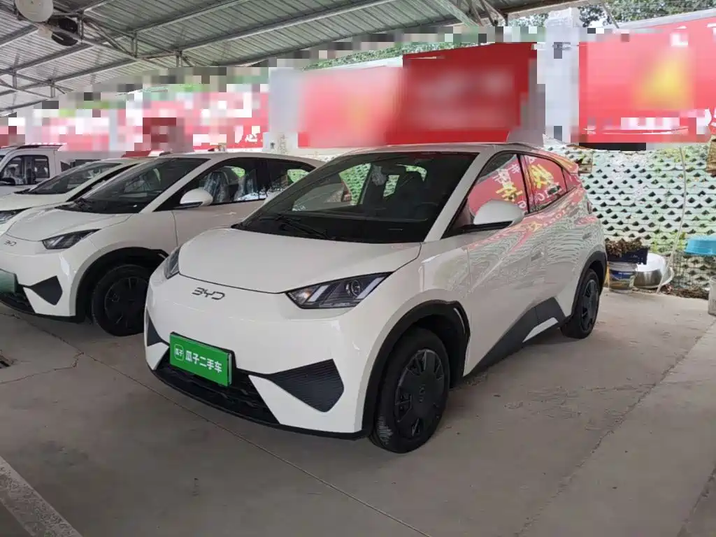 BYD Seagull 2026 2025 Smart Drive Edition 305km Vitality Version