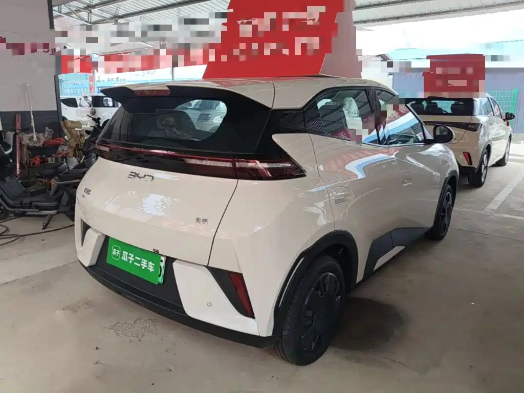 BYD Seagull 2026 2025 Smart Drive Edition 305km Vitality Version