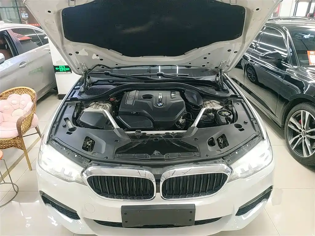 BMW 5 Series 2020 525Li M Sport Package фото 20