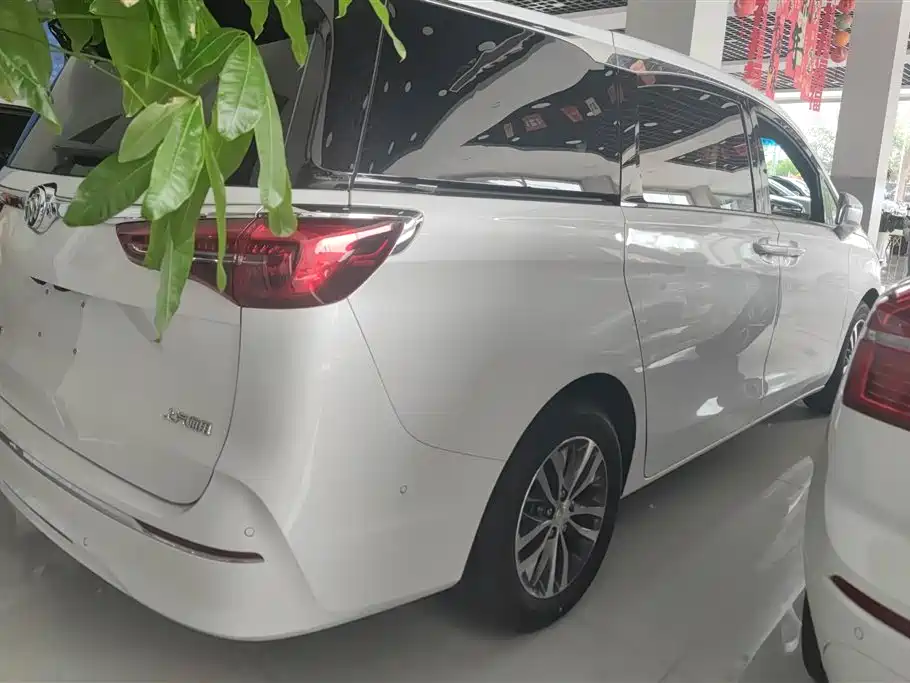 Buick GL8 2021 ES Landlord 653T Premium фото 3