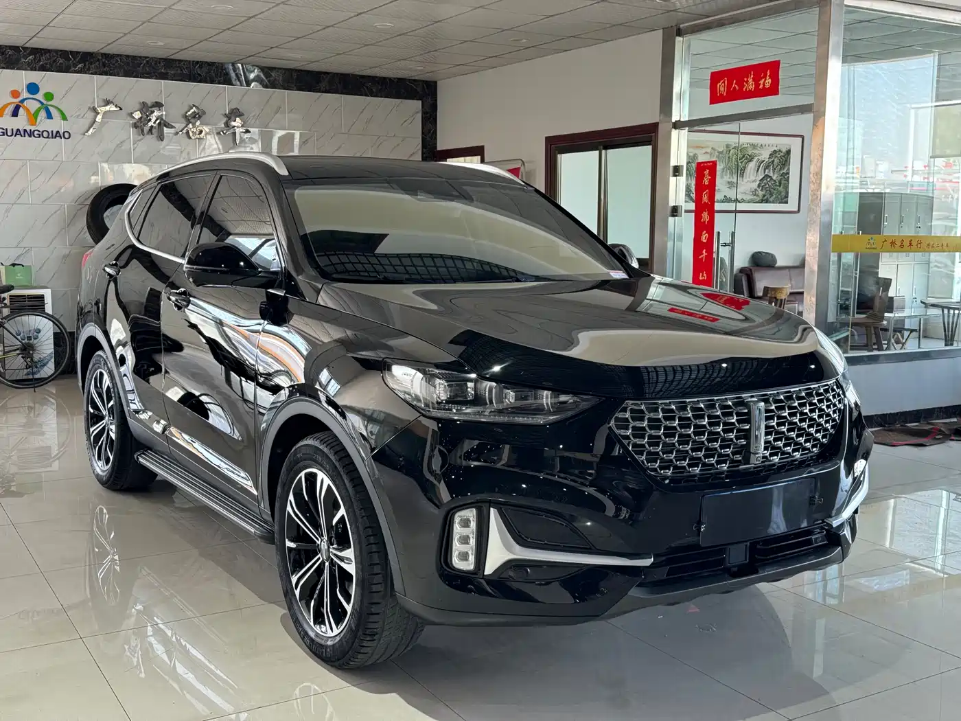 WEI PAI WEI BRAND VV6